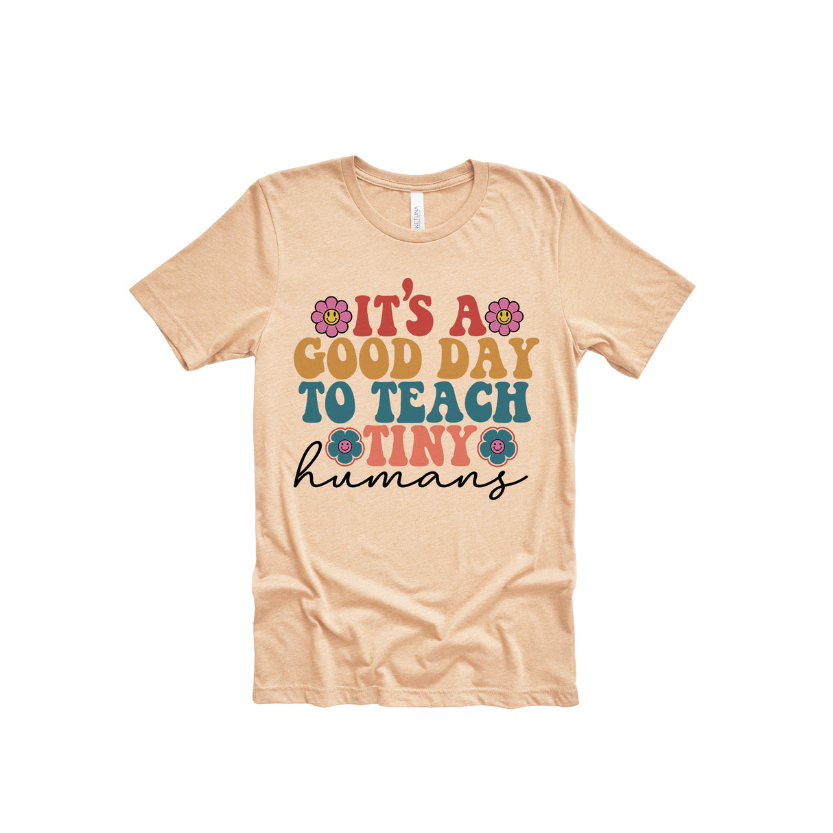 It's A Good Day To Teach Tiny Humans Adult T-Shirt